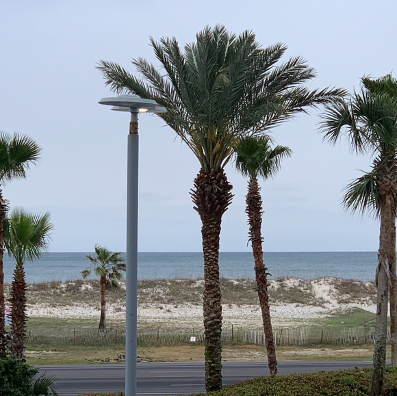 Meet your Posher, Charlene - Picture 3 of 3